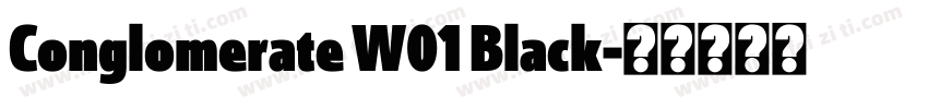 Conglomerate W01 Black字体转换